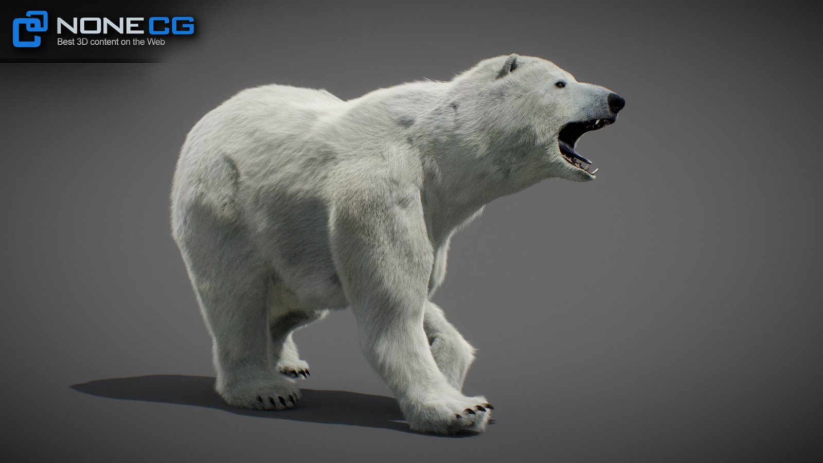 ▷ 3D Animated Polar Bear » Download and buy 3D profestionnal models on  