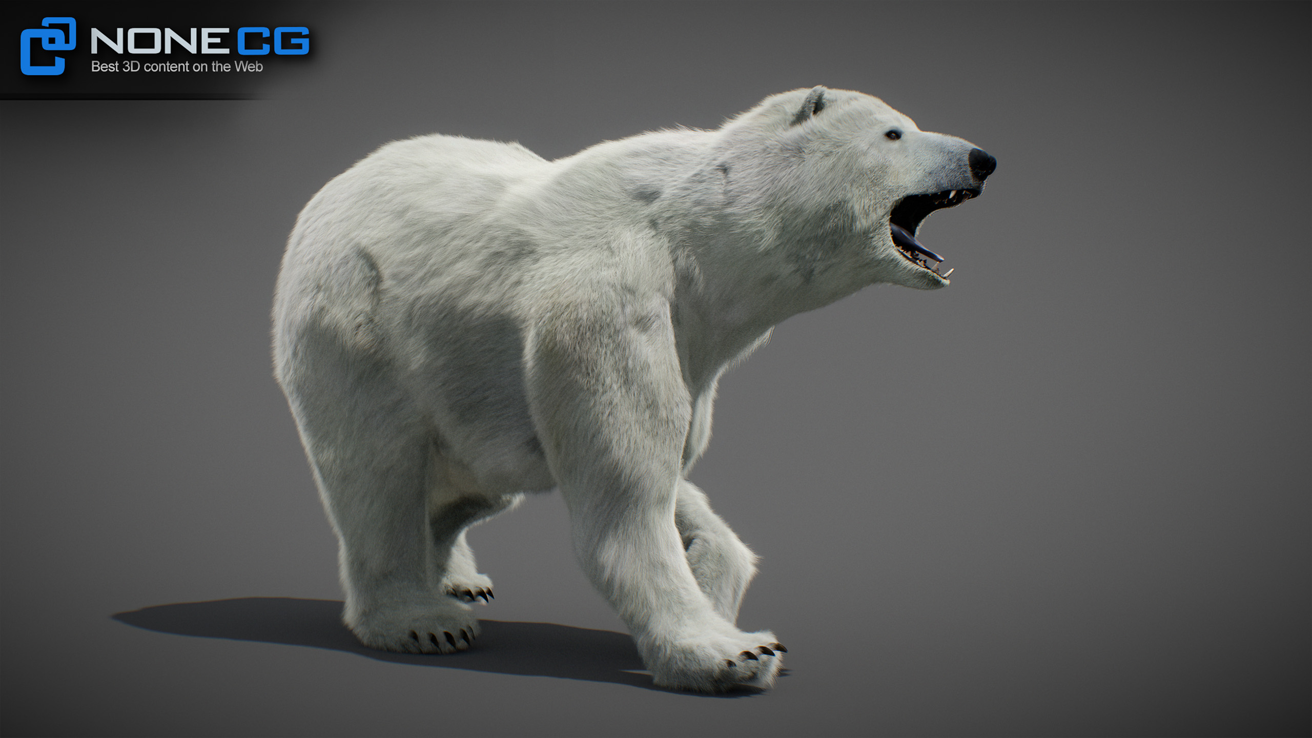 ▷ 3D Animated Polar Bear » Download and buy 3D profestionnal models on ▷ 3D Animated Polar Bear » Download and buy 3D profestionnal models on