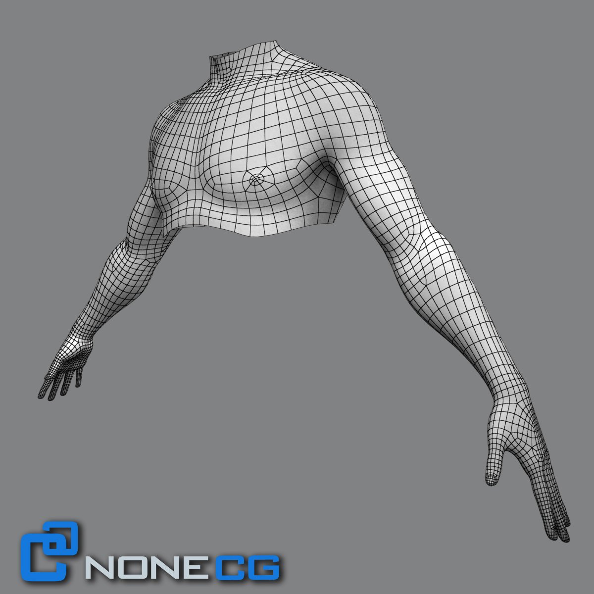 3D Adult Male Torso Rigged » Download and buy 3D profestionnal models