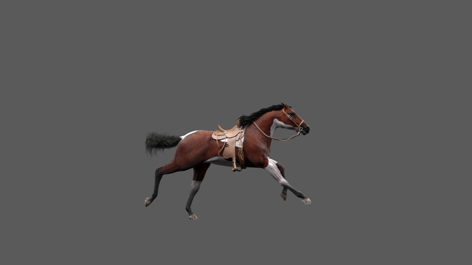 ▷ 3D Horse Gallop » Download and buy 3D profestionnal models on 