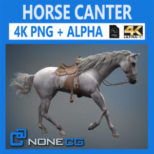 3d Horse Animations Pack Download And Buy 3d Profestionnal Models On Nonecg Com
