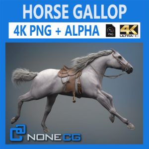 3d Horse Rise Download And Buy 3d Profestionnal Models On Nonecg Com