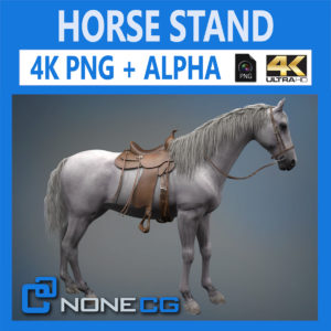 3d Video Download And Buy 3d Professional Models On Nonecg Com