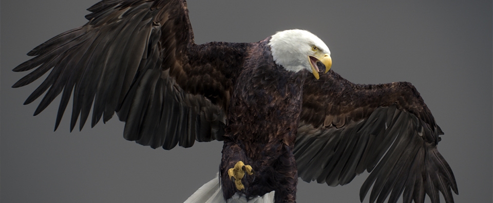 3d eagle