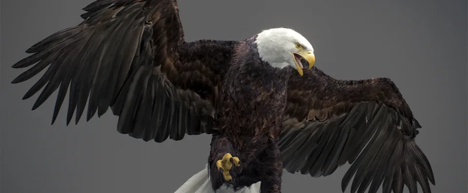3d eagle