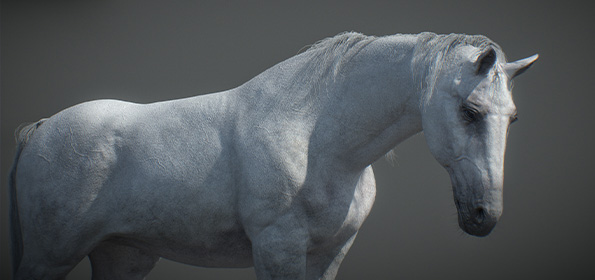 3d animated horse