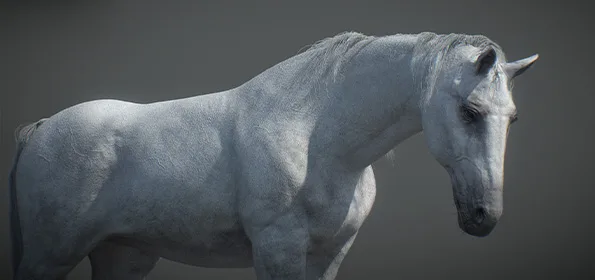 3d animated horse