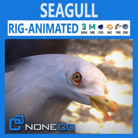 Seagull_Thumb