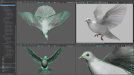 Doves_04b