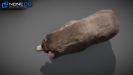 Bears_030