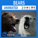 3d bears pack
