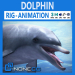 3d dolphin