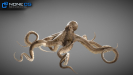 Animated Octopus 3D