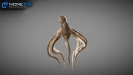 Animated Octopus 3D