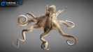 Animated Octopus 3D