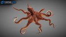 Animated Octopus 3D