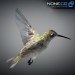 Hummingbird-22