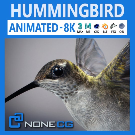 3d hummingbird rigged animated