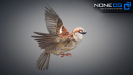 Sparrow-21
