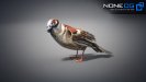 Sparrow-12