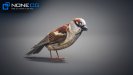 Sparrow-11