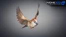 Sparrow-19