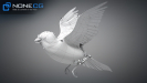 Sparrow-23
