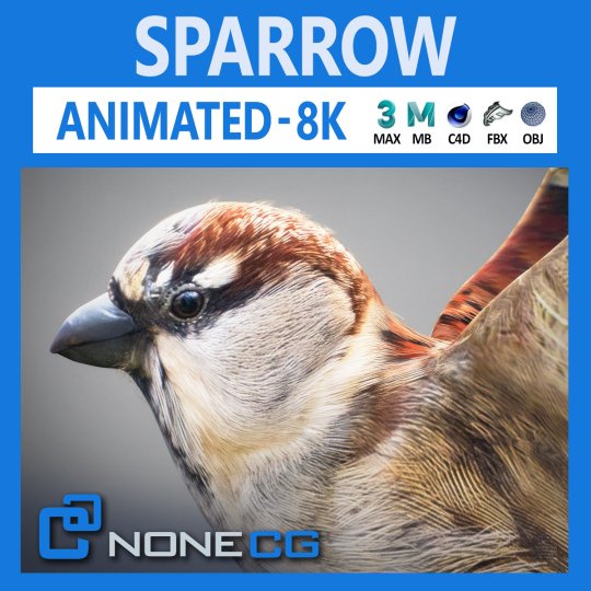 3d animated sparrow
