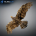Hawk-12