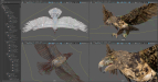 Hawk-07