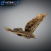 Hawk-25