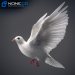 Doves_011