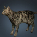 Cat_01_0001