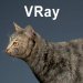 Cat_VRay_03