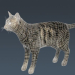 Cat_Wireframe