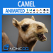 Camel Animated