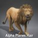 Lion_Alpha_01