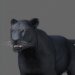 Panther_new_05