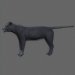 Panther_new_02