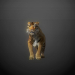 Tiger_05