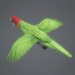 Birds Animated_21