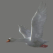 Birds Animated_51