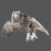 Prey_Birds_Animated_0027