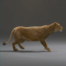 Wild_Felines_Rigged_031