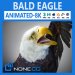 3d bald eagle animated