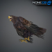 Eagle-Golden-14