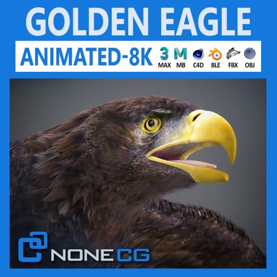 3d golden eagle animated