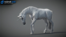 3d unicorn rigged and animated