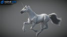 3d unicorn rigged and animated