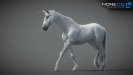 3d unicorn rigged and animated